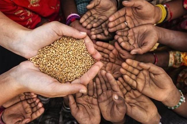 WFP says food insecurity in Sri Lanka remains at concerning levels