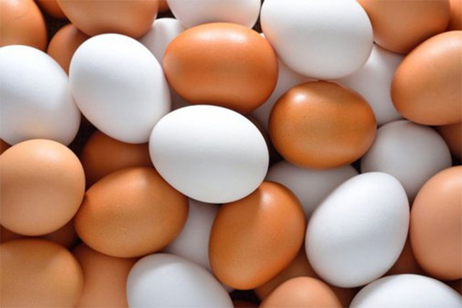 Samples of latest batch of imported eggs to be obtained today