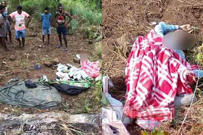 One dead after wild elephant attacks camper couple