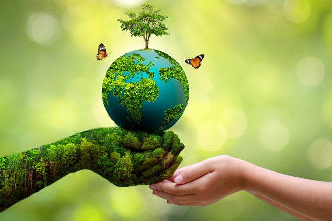 World Environment Day marked today under the theme ‘Beat Plastic Pollution’