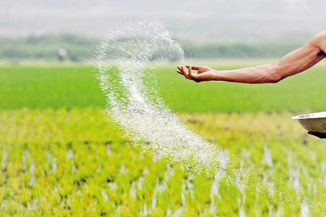 Minister assures urea fertilizer price will drop below Rs. 9,000