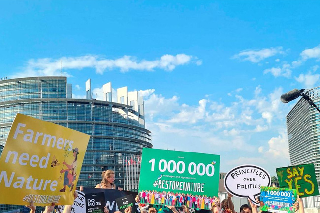 EU parliament passes nature restoration bill in knife-edge vote