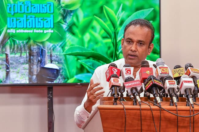 Second coconut triangle to be initiated in Northern Province, aimed at boosting exports