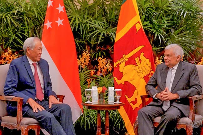 President holds talks on regional stability with Singapore’s Defence Minister