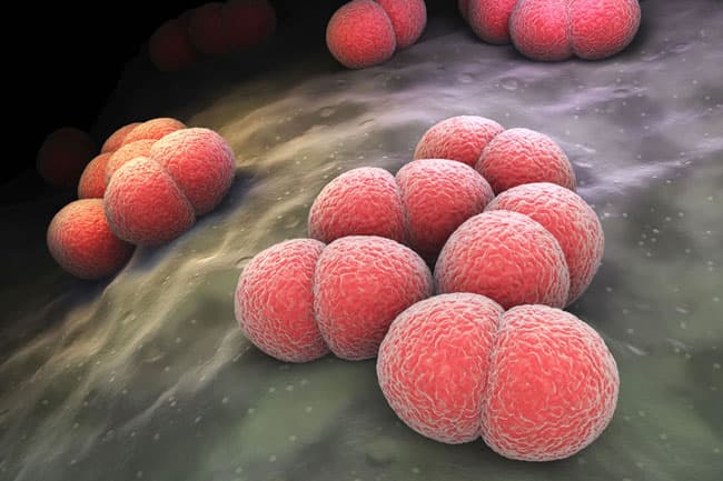 Public urged not to have undue fears about bacterial infections at Galle Prison