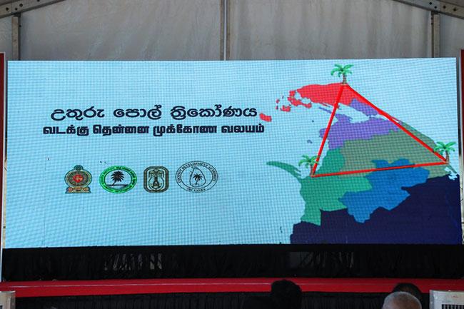 Jaffna, Mullaitivu and Mannar districts form Sri Lanka’s second Coconut Triangle