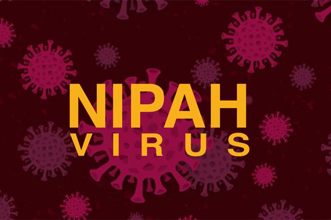 Sri Lanka to import test kits to detect Nipah virus after outbreak in Kerala