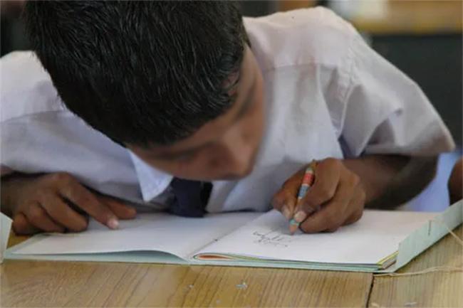 Grade 5 Scholarship Exam: Applications accepted online for re-scrutiny of results
