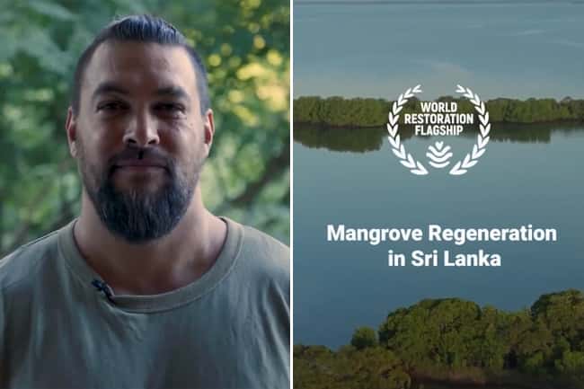 Aquaman star Jason Momoa hails Sri Lanka’s mangrove restoration efforts