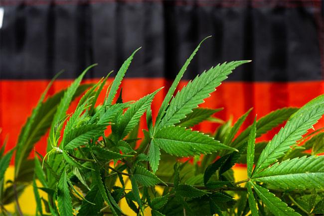 Germany’s parliament votes to legalize limited marijuana possession and allow ‘cannabis clubs’