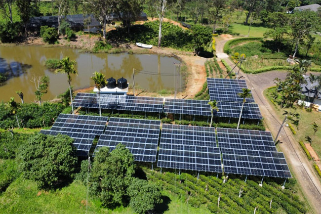 Sri Lanka’s first semi-transparent solar PV agrivoltaic pilot project commissioned