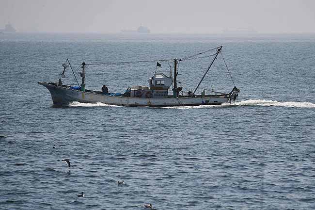 Search operation launched after local fishing vessel reported missing