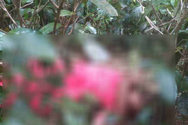 17-year-old girl found murdered at tea estate