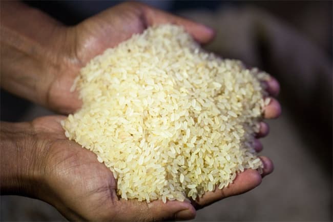 Govt. to provide 10kg of rice to low-income families before Avurudu