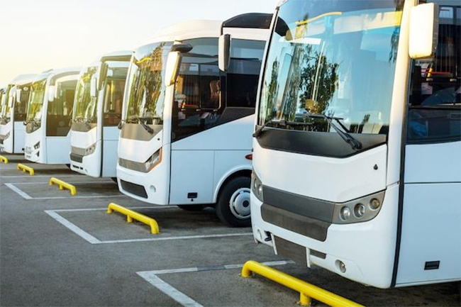 Sri Lanka to import 1,000 vehicles to improve tourism sector transportation