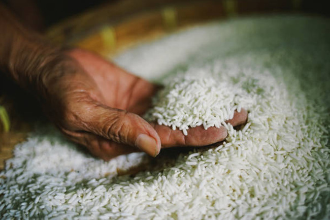 Govt expedites free rice distribution to low-income families