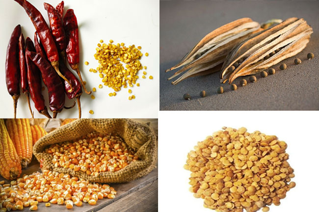 Sri Lanka prepares for first-ever seed exports after successful testing