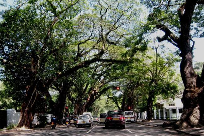 Colombo road closures continue tonight due to extreme weather