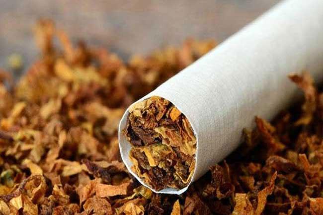 World No Tobacco Day 2024: Sri Lanka’s tobacco use declines amid global e-cigarette surge
