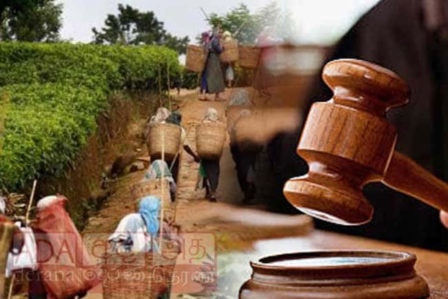 Court refuses injunction against Gazette on plantation workers’ minimum wage