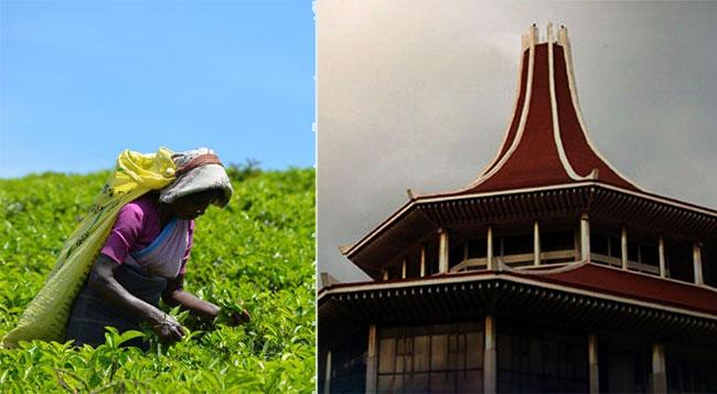 Stay order issued on Gazette increasing daily wage of plantation workers