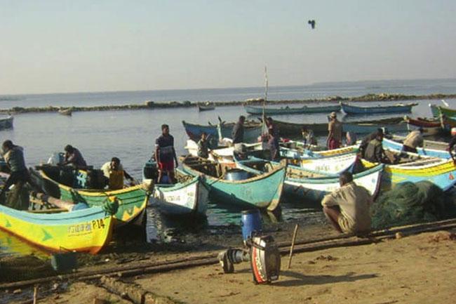 83 Indian fishermen currently in Sri Lanka’s judicial custody: Indian govt tells Parliament
