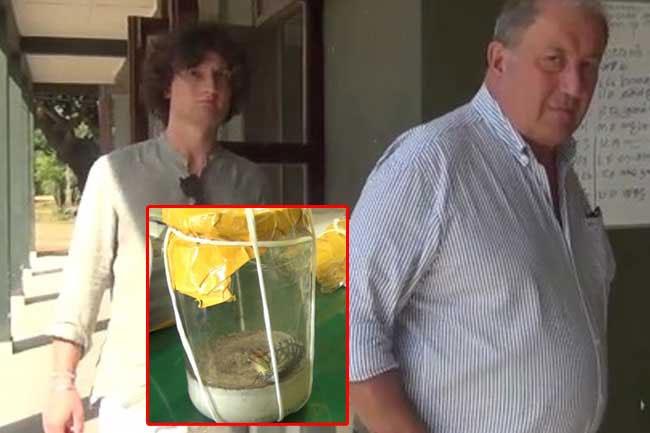 Italian father and son fined Rs. 60 mln over attempt to smuggle endemic insects from Yala