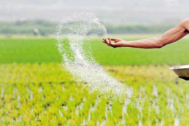 Distribution of fertilizer subsidy for ‘Maha Season’ begins