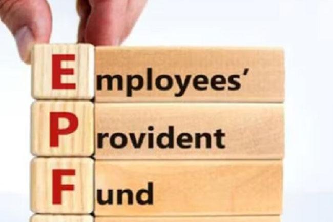 EPF declares 11% interest as assets jump to Rs. 4.38 trillion in 2024