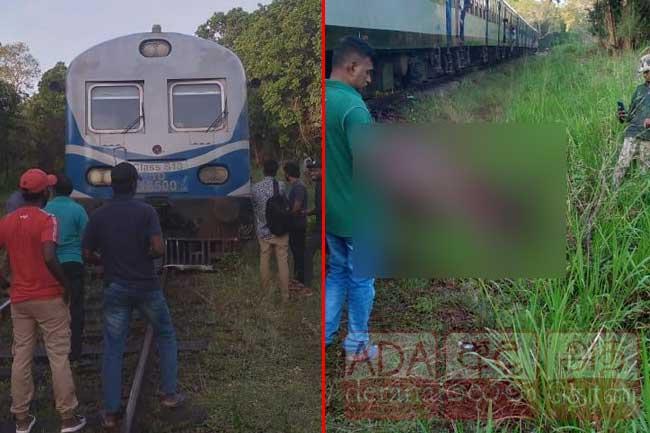 ‘Meenagaya’ train derails after colliding with elephant