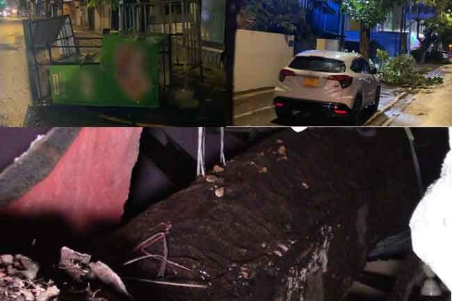 Strong winds cause widespread damage in Colombo
