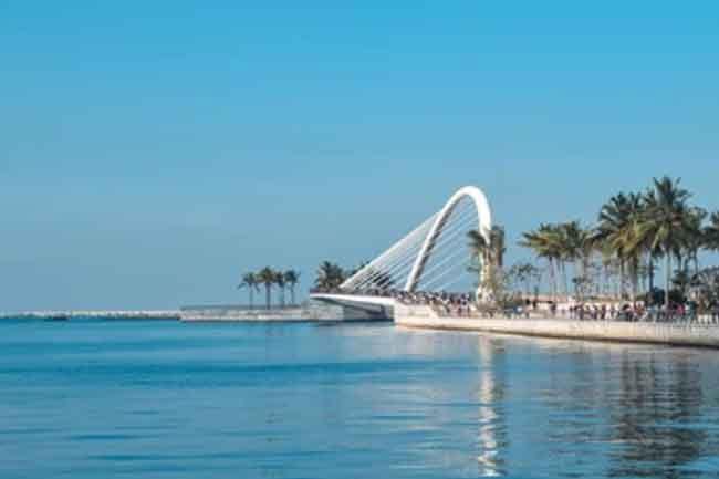 Uni. student reported missing while swimming at Colombo Port City beach