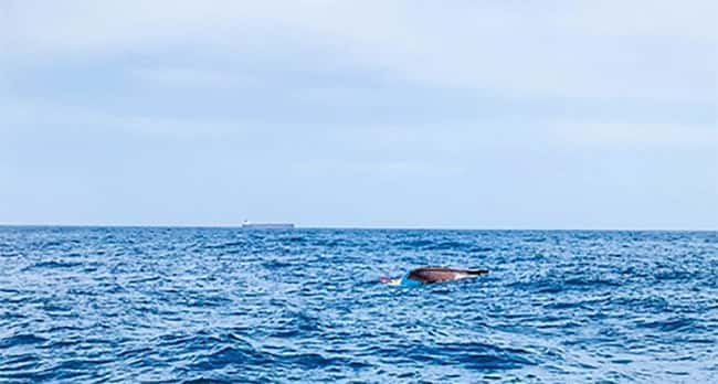 Two fishermen missing, four rescued after another boat capsizes in seas off Tangalle
