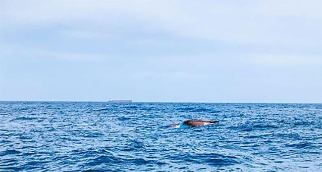 Two fishermen missing, four rescued after another boat capsizes in seas off Tangalle
