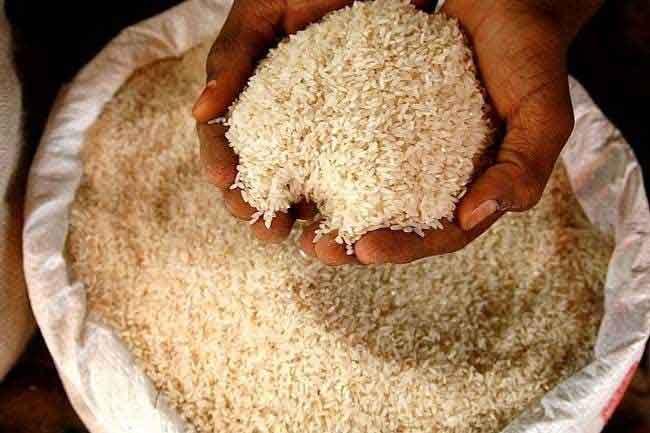 Govt may import substitute if ‘Keeri Samba’ shortage persists – Minister