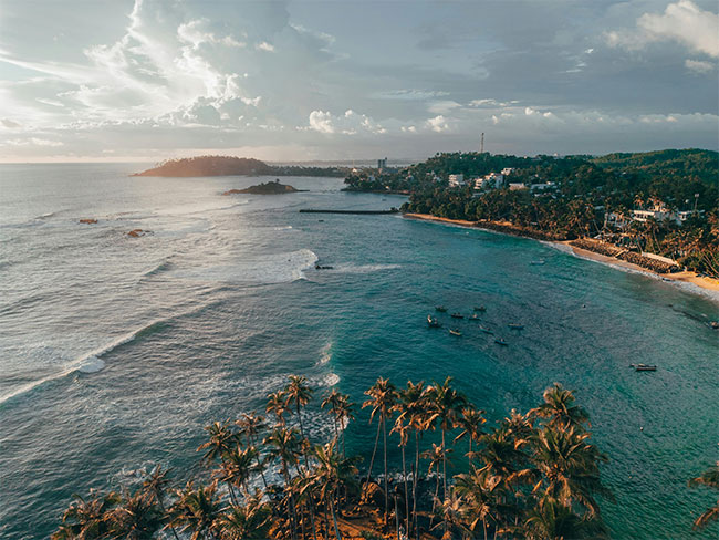 Cabinet approves signing MoU to establish Indian Ocean Coastal Alliance