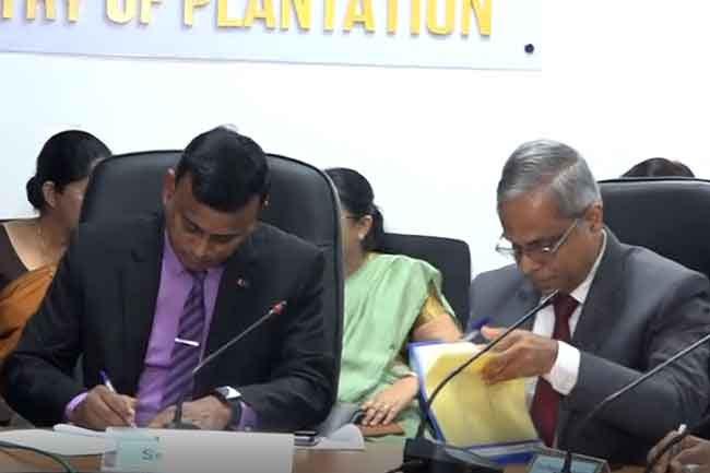 Govt signs agreement with plantation companies to increase estate workers’ daily wage