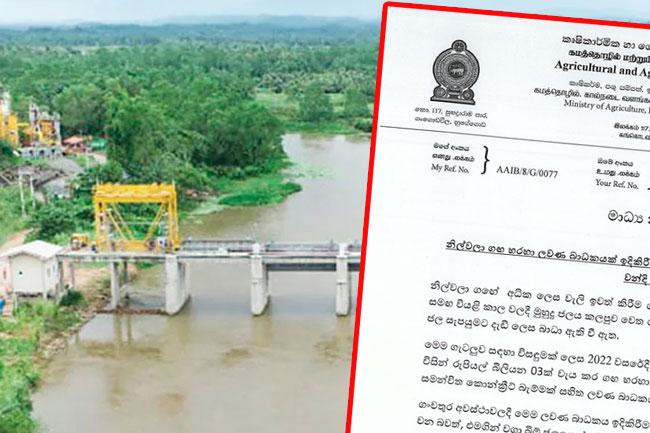 Govt to pay Rs. 1,200 mln for crop damage caused by Nilwala River salinity barrier