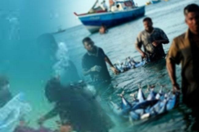 New insurance scheme introduced for fishermen engaged in diving activities