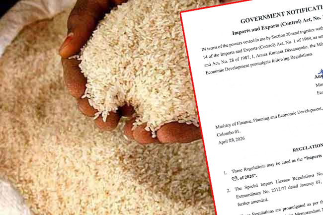 Gazette issued on emergency importation of GR 11 rice varieties
