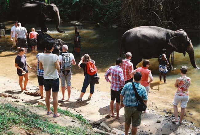 Tourist arrivals in April top 85,000