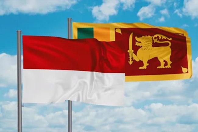 Sri Lanka and Indonesia consider granting visa exemption for diplomatic and official passport holders