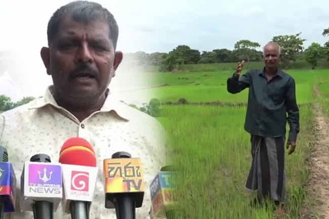 Farmers warn of large-scale protests to Colombo over fertilizer crisis and falling paddy prices