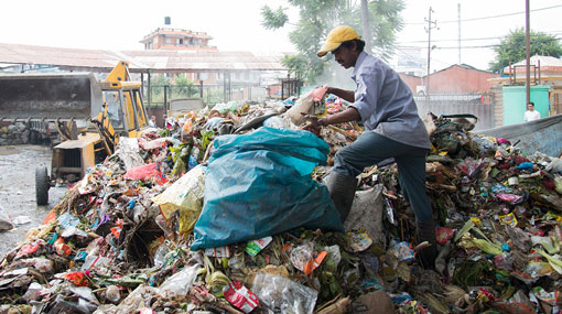 MCs decide not to collect unsorted waste