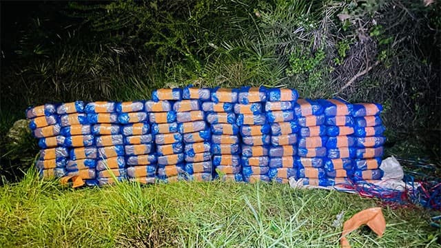 220kg of Kerala cannabis seized in STF operation in Jaffna