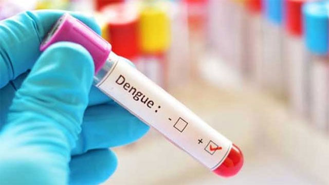 Nearly 37,000 dengue cases reported thus far in 2026