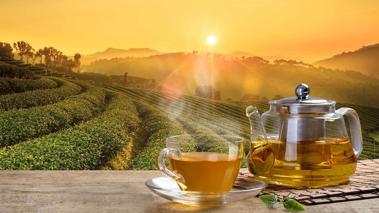 Sri Lanka tea exports to UAE grow 3.3% to 18.32m kilograms in 2025