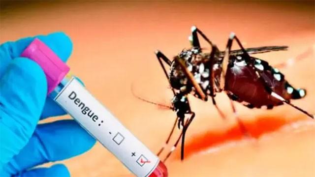 Dengue breeding sites found in 41% of schools nationwide – Health Minister