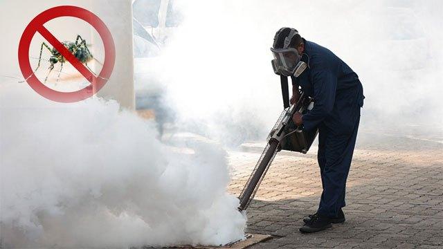 Sharp rise in dengue infections in June as total cases in 2026 surpass 46,000