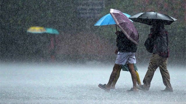 Showers expected in parts of the island today